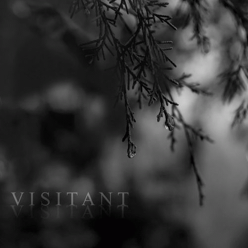 Visitant (USA) : Starless